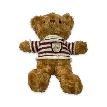 Soft T-shirt Teddy Bear (12pcs)