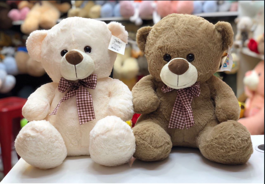 Love Combo Teddy Bear (40cm)